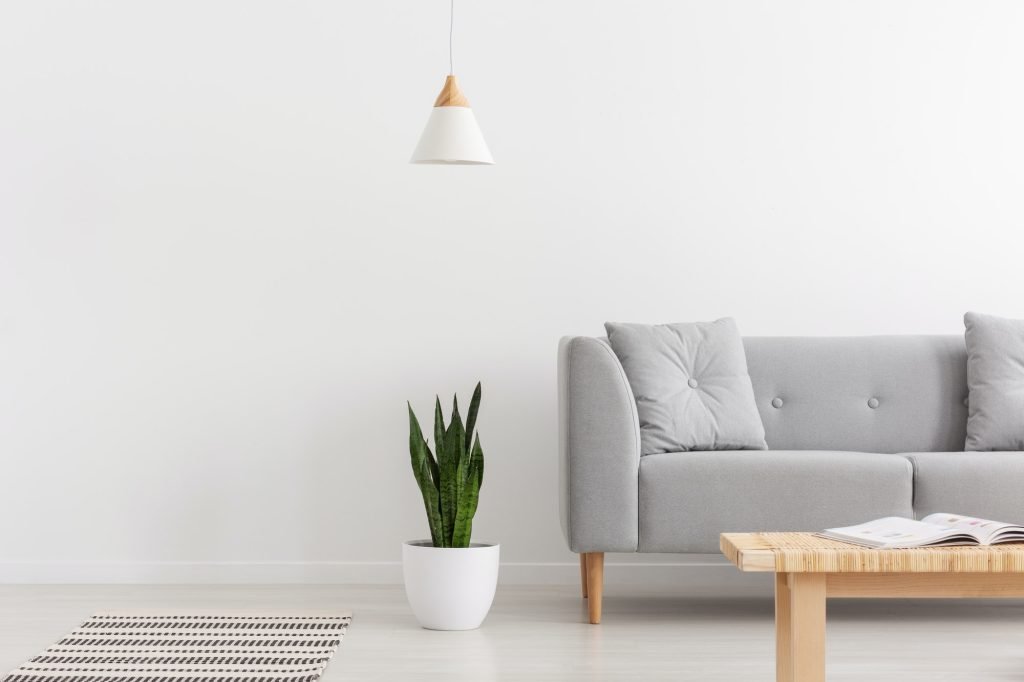 White Lamp Above Green Plant In Pot Next To Grey Sofa With Pillo 1024x682
