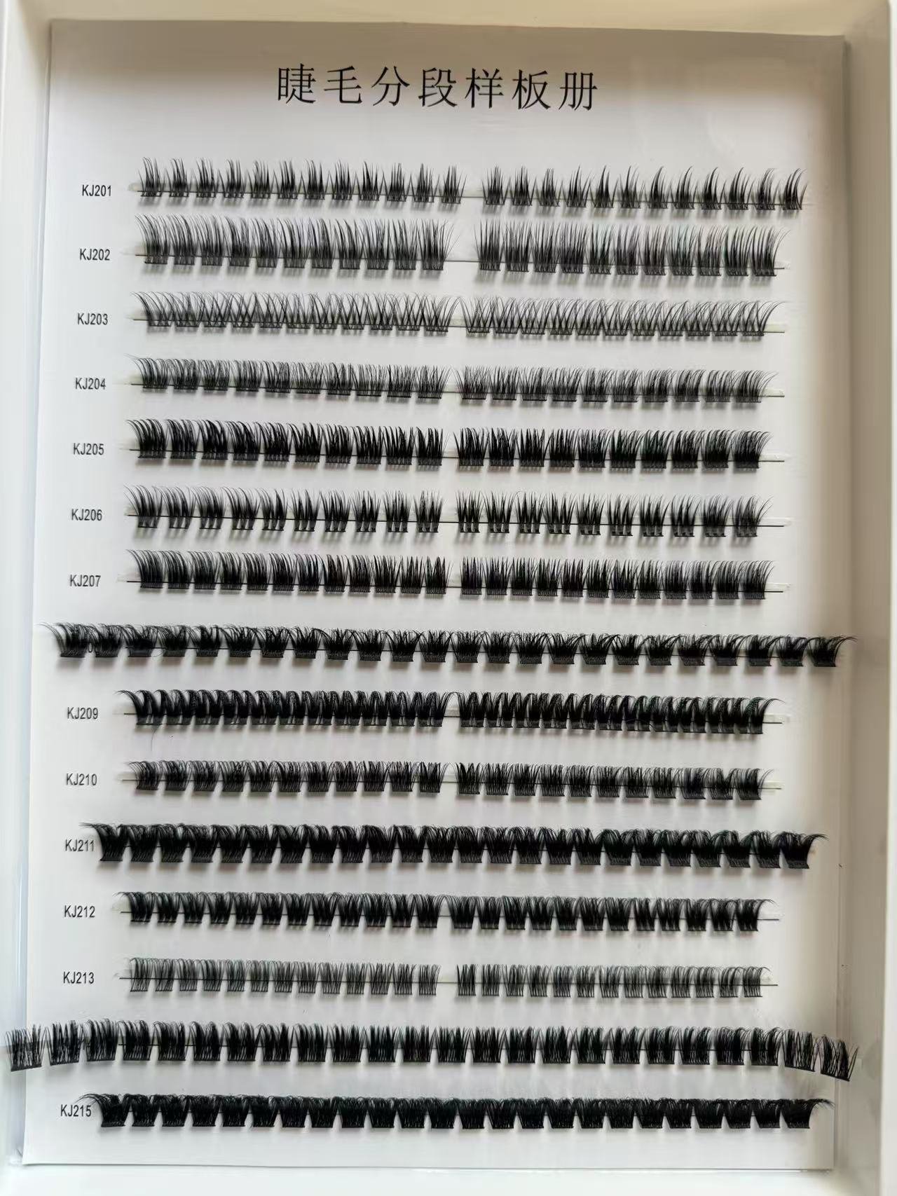 Customizable style options/continuously updated... Eyelash Style Sample