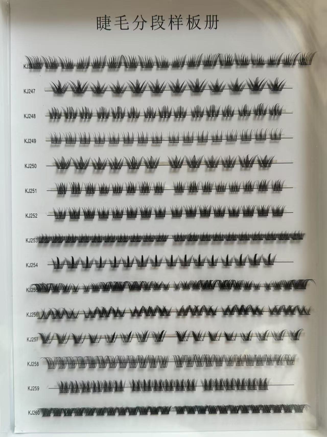 Customizable style options/continuously updated... Eyelash Style Sample