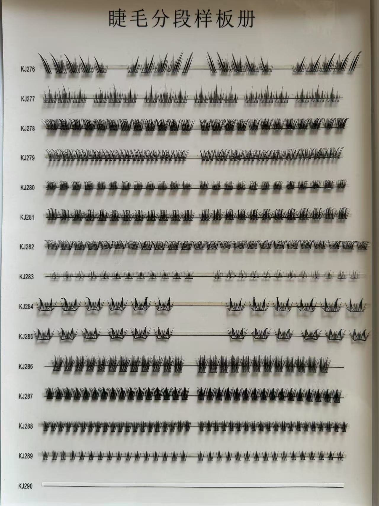Customizable style options/continuously updated... Eyelash Style Sample