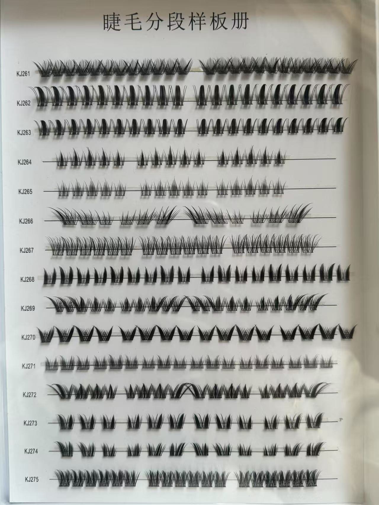 Customizable style options/continuously updated... Eyelash Style Sample