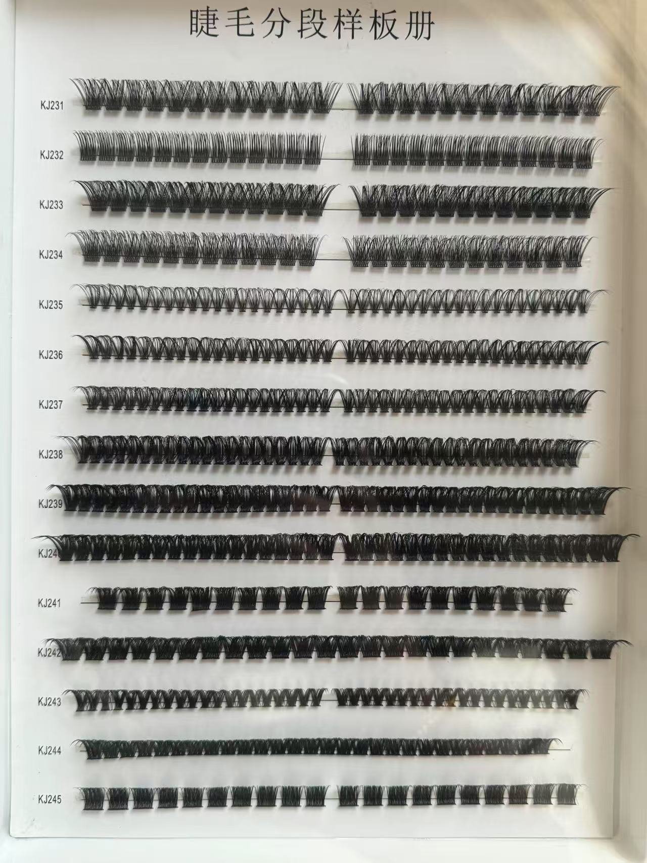 Customizable style options/continuously updated... Eyelash Style Sample
